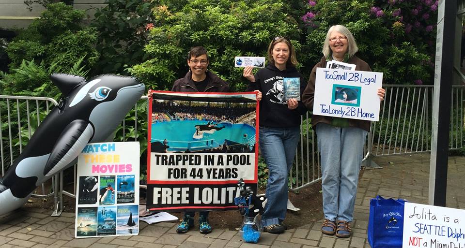 Seattle for Lolita