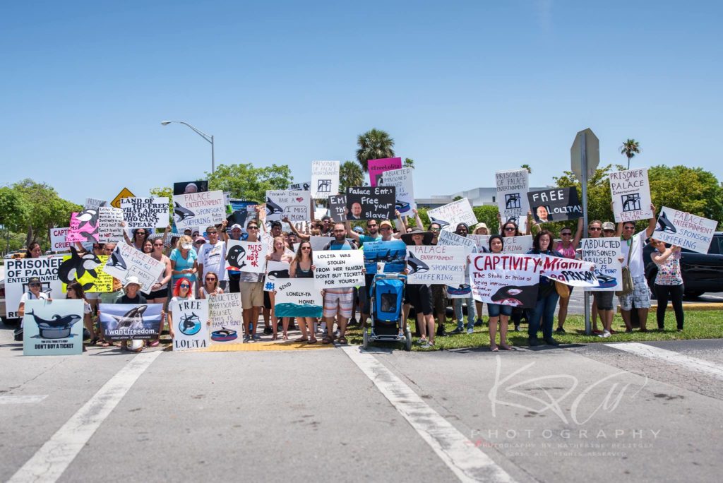 May 9th, 2015 #ShutDownPalace Kick-off Protest at Miami Seaquarium