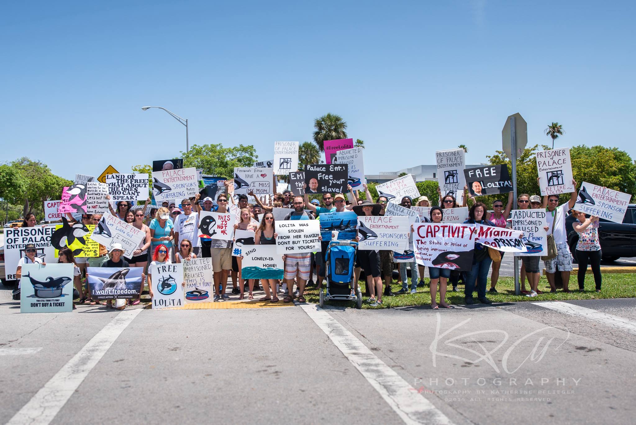 Advocates Will Hold Protest in Support of Lolita at Miami Seaquarium This Saturday