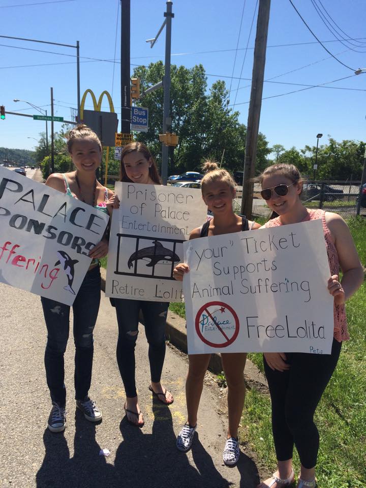 Kennywood protesters to demand release of Fla. orca