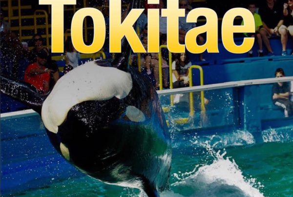 Thoughts for Tokitae