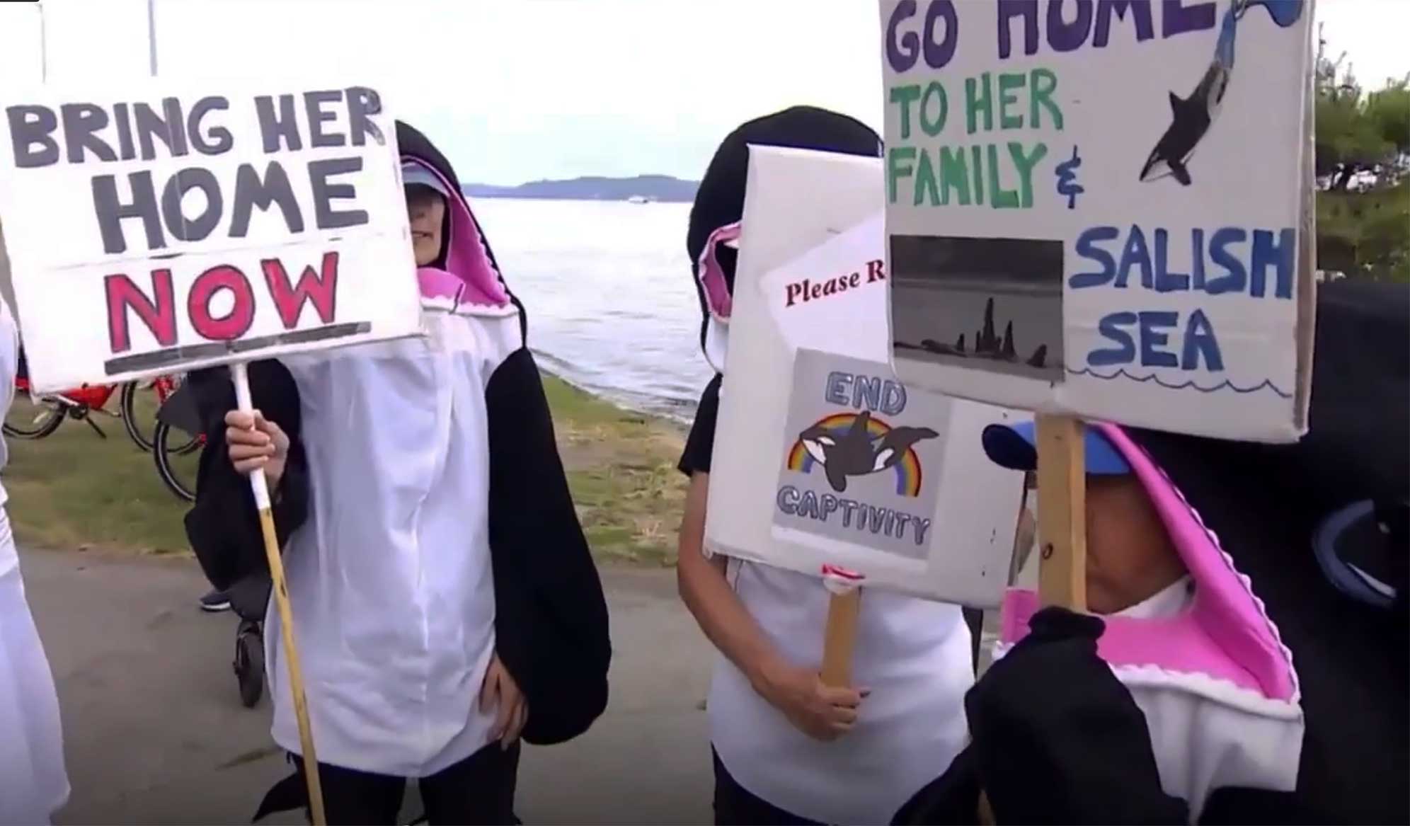 Liberation for Lolita, Seattle 2019