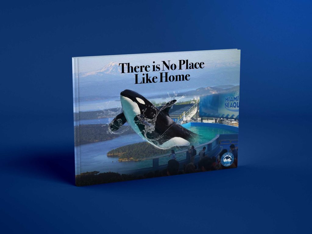 Book for Toki by Spiral Pixel Design