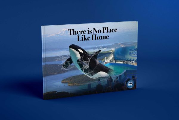 Book for Toki by Spiral Pixel Design