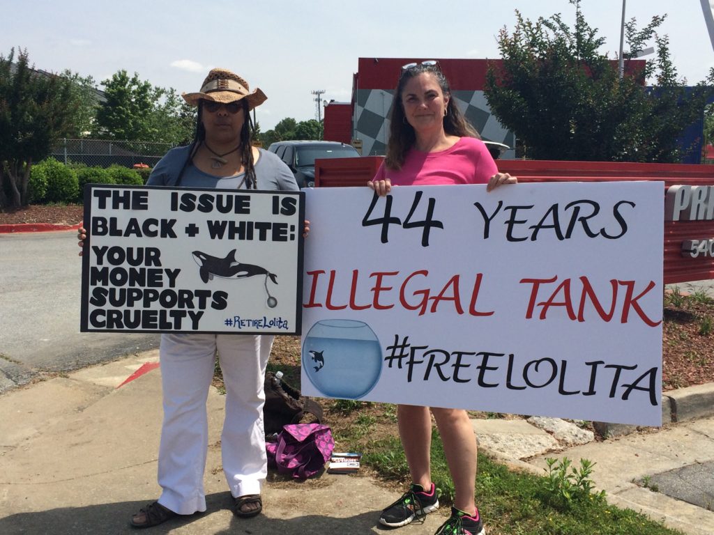 44 years captive Lolita