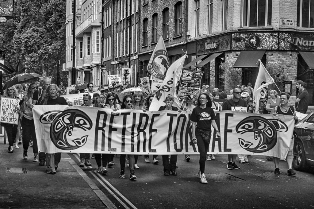 London 2018 - Until Lolita is Home