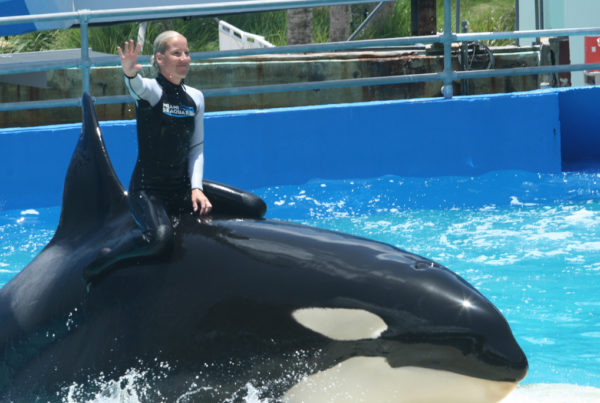 lolita whale trainer riding