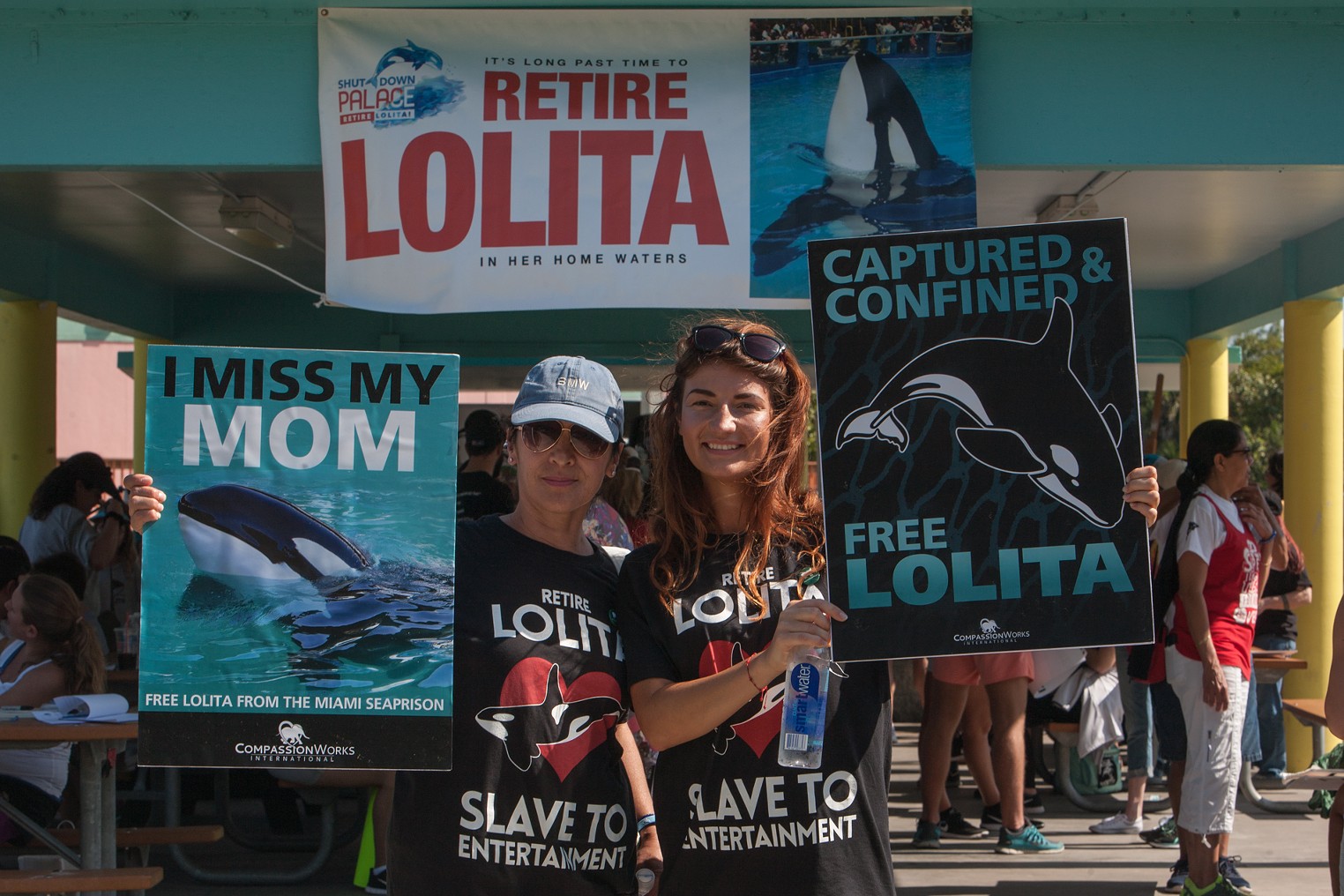 Protesters Rally for Lolita the Orca’s Release From Miami Seaquarium