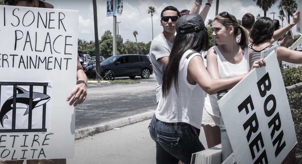 shut down palace campaign video