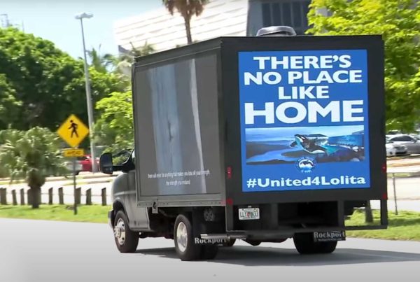 Truck in Miami designed by Jo Phillips, Until Lolita is Home