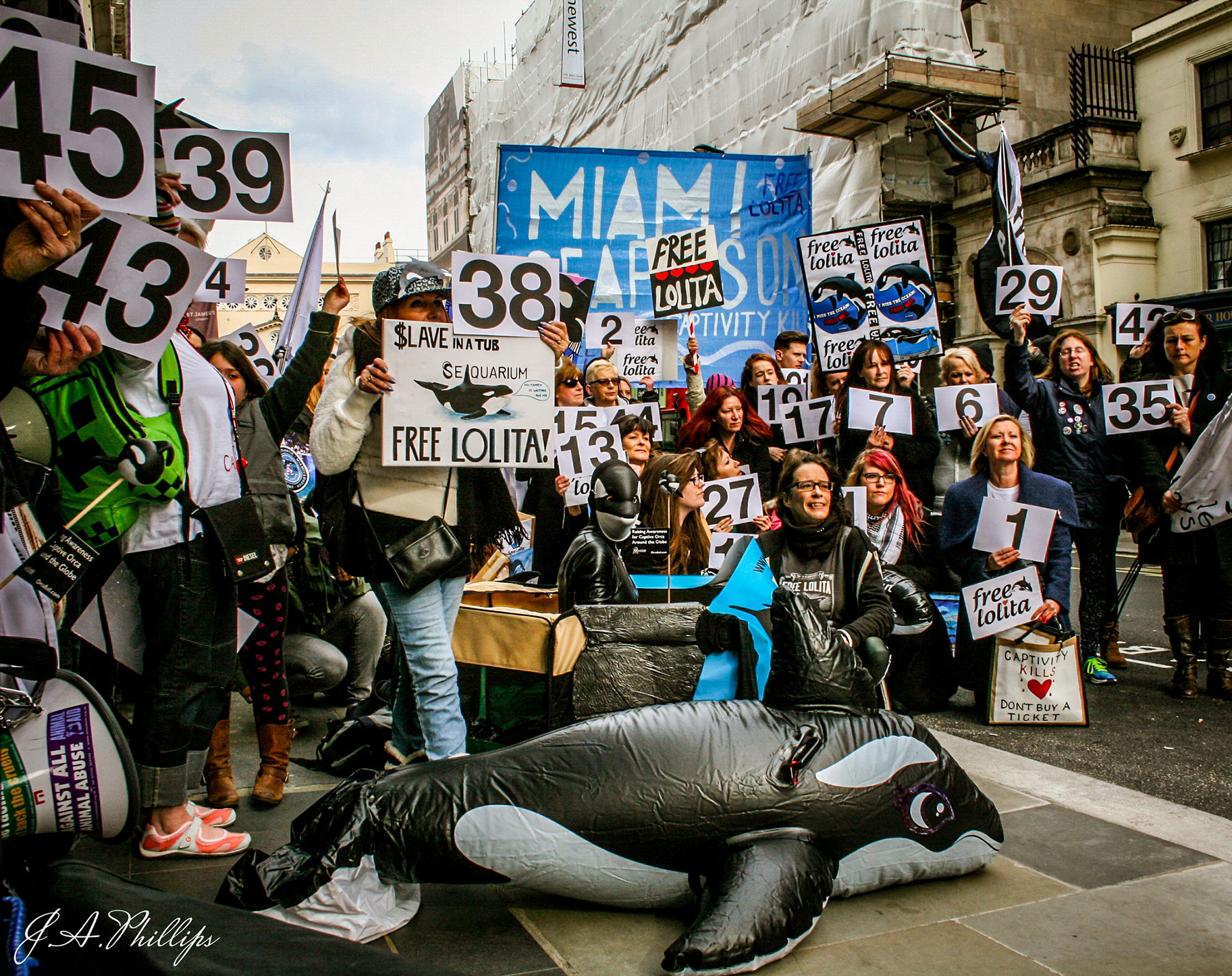 United Across The Atlantic For Lolita