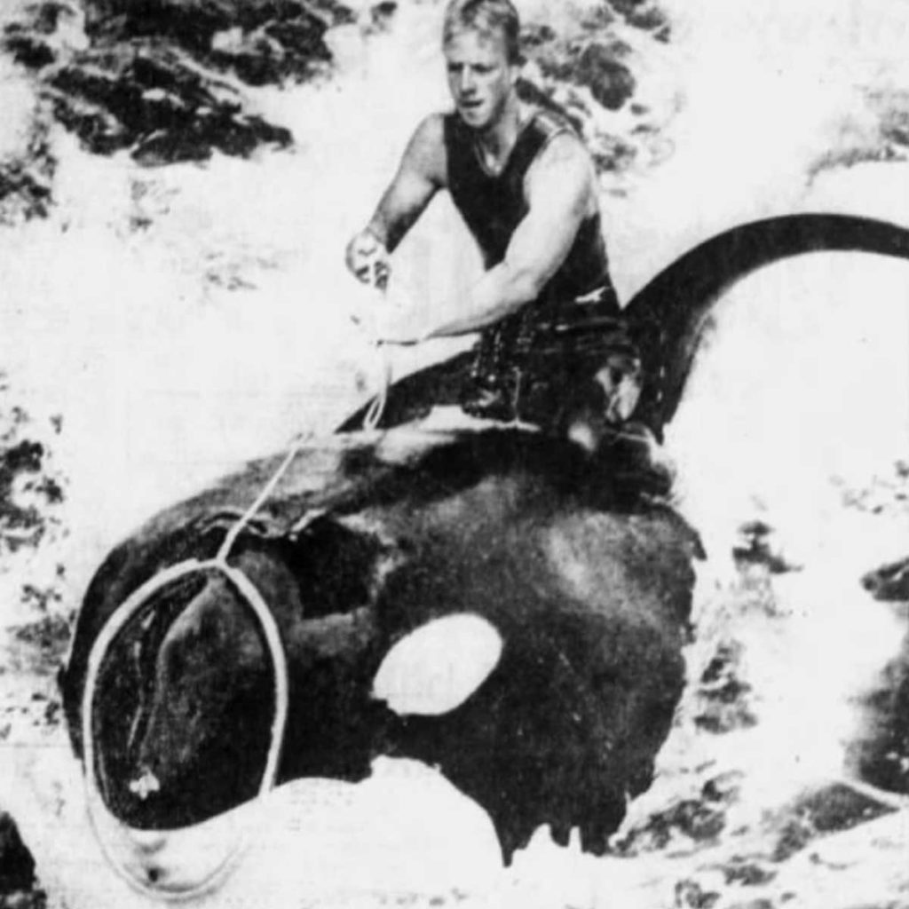 Riding Hugo orca