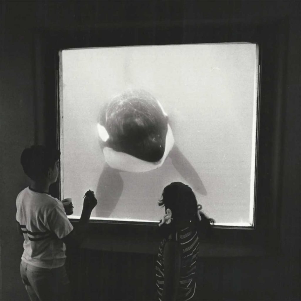 Hugo through viewing window