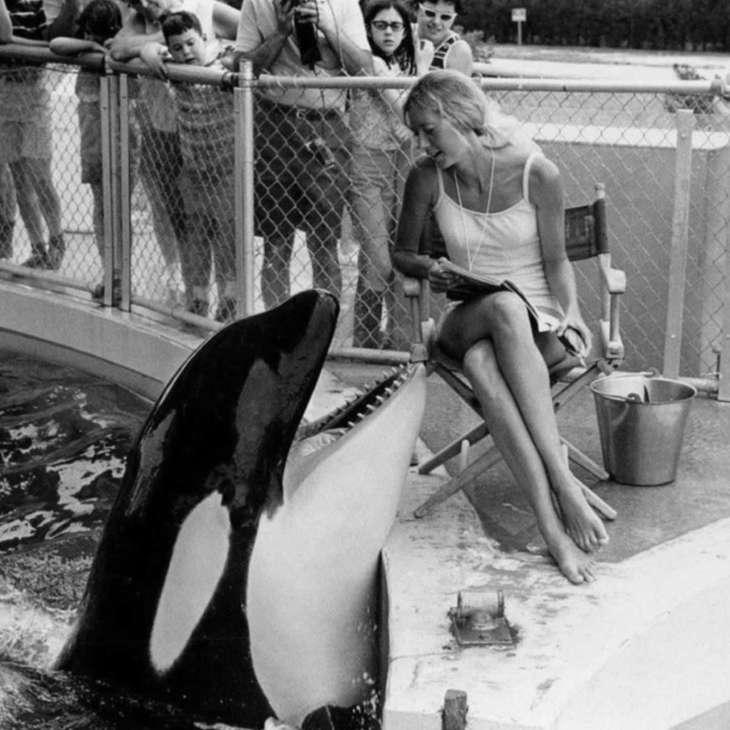 Woman reading with Hugo orca