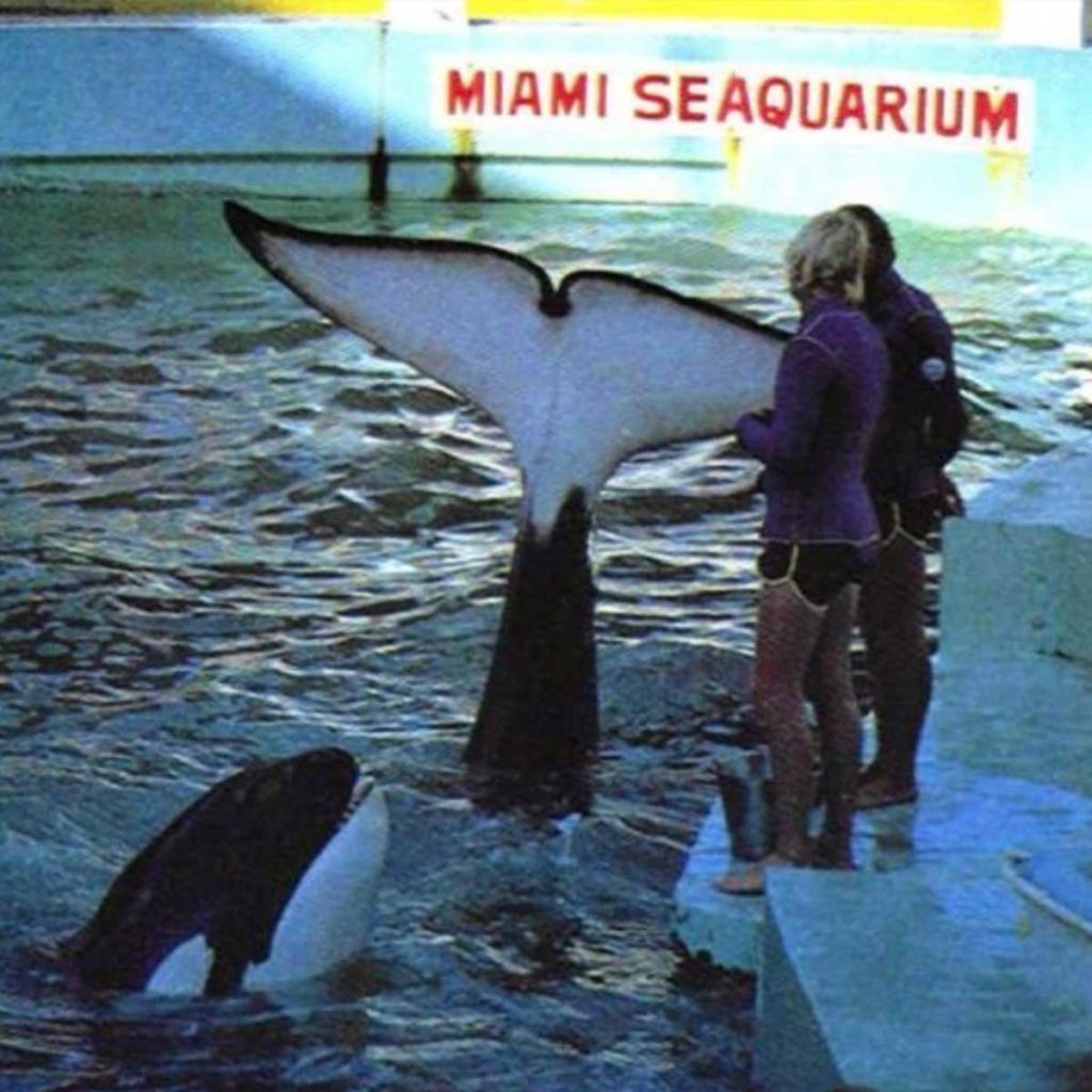 Archives Lolita nad Hugo