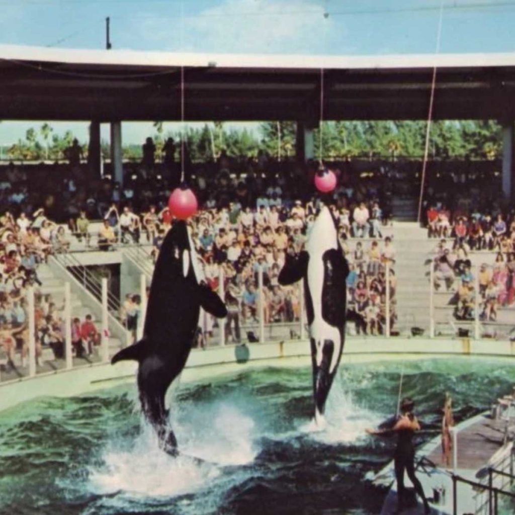 Old postcard of Hugo and Lolita