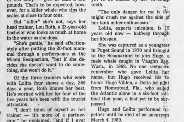 The Tampa Tribune 23 Oct 1981