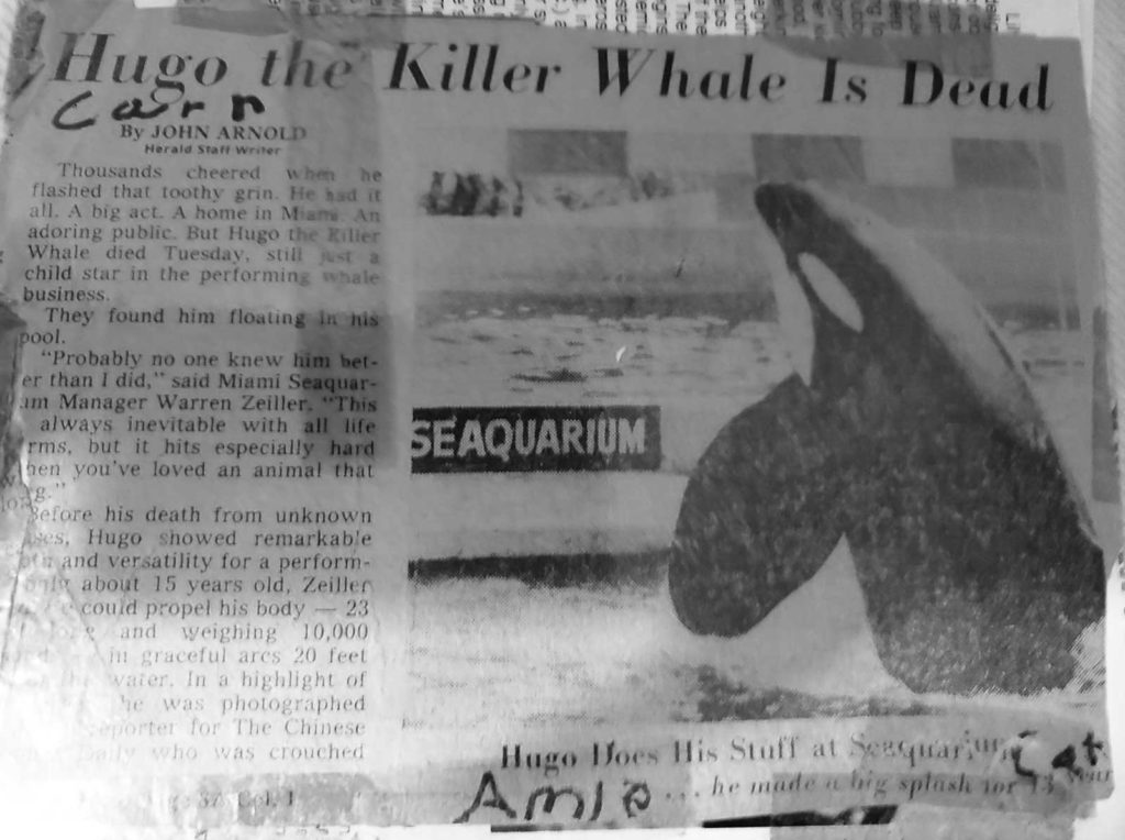 Hugo dead article