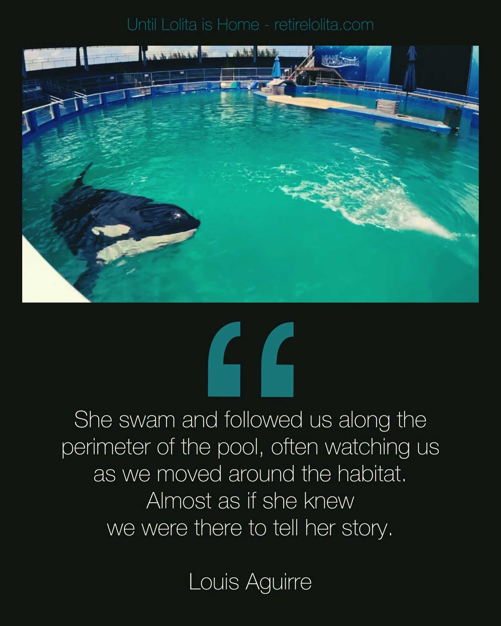 Louis Aguirre quote on seeing Toki