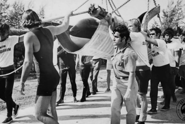 Toki carried to the whale bowl - June 2 1971