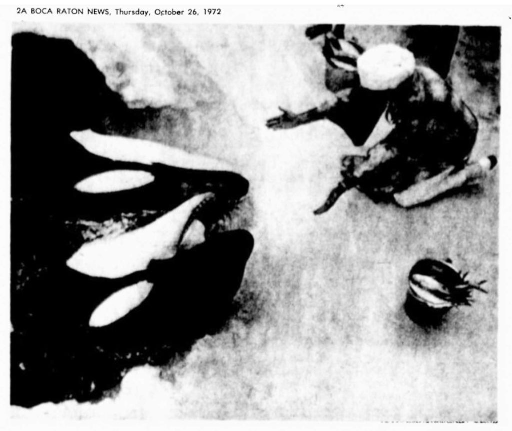 Hugo & Lolita get a psychic visit