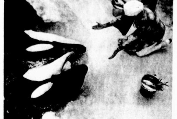 Hugo & Lolita get a psychic visit