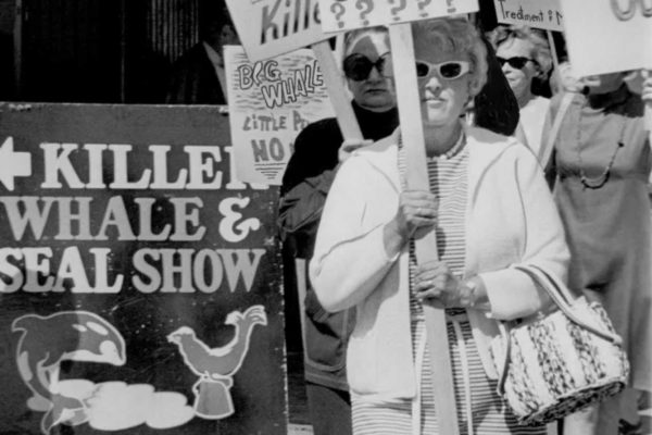 whale-protests-seattle